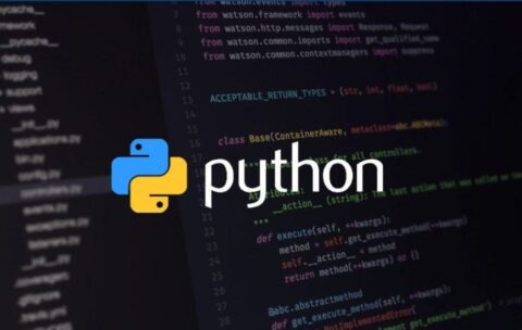 Python for Beginners picture